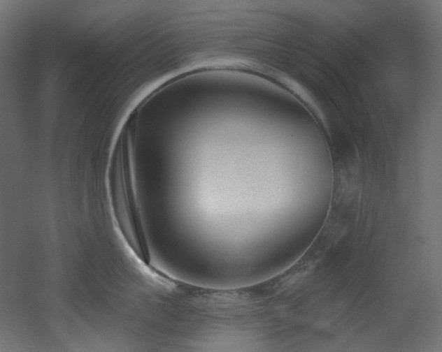 X0000051920959200506241505