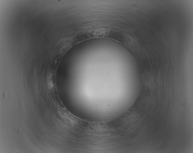 X0000051920962200506241505