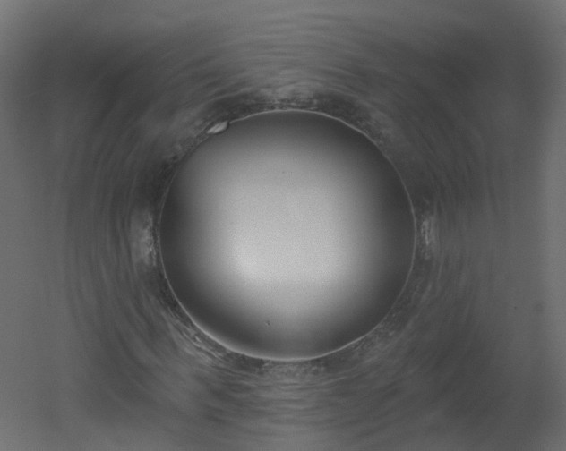 X0000051920963200506241505
