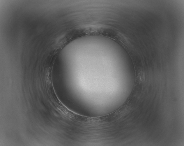 X0000051920964200506241505