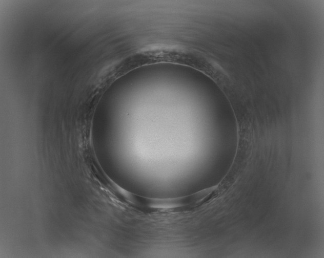X0000051920965200506241505