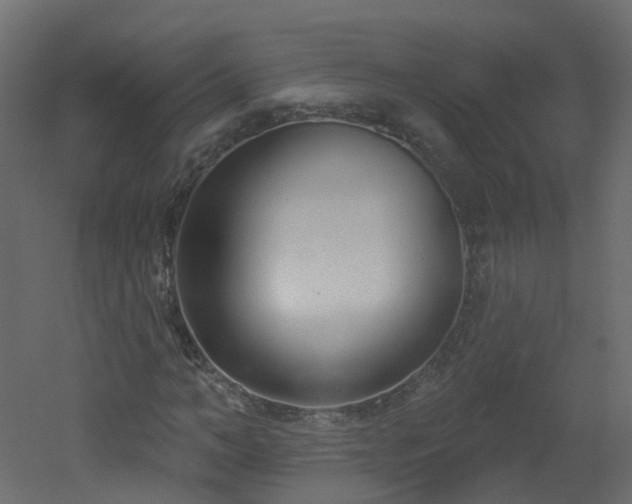 X0000051920966200506241505