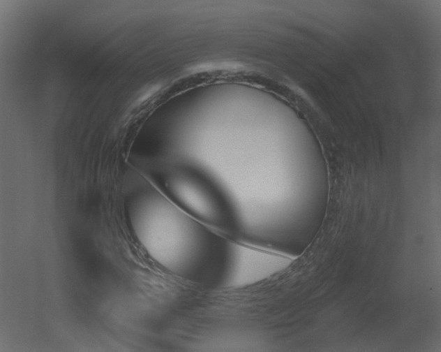 X0000051920967200506241505