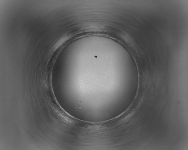 X0000051920970200506241505