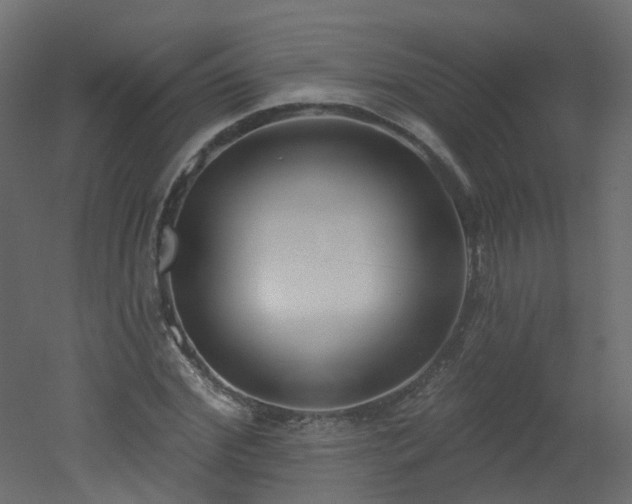 X0000051920972200506241504