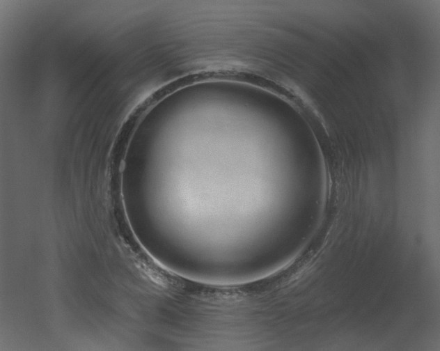 X0000051920975200506241504