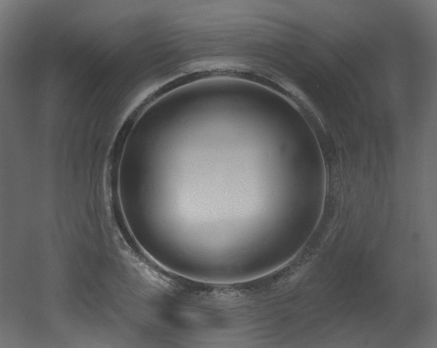 X0000051920983200506241504
