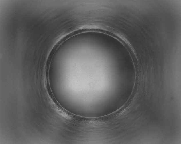 X0000051920984200506241504