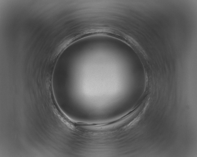 X0000051920985200506241504