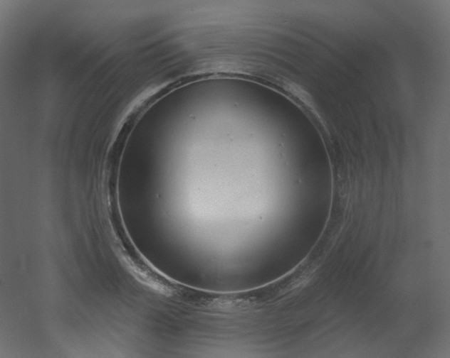 X0000051920987200506241504