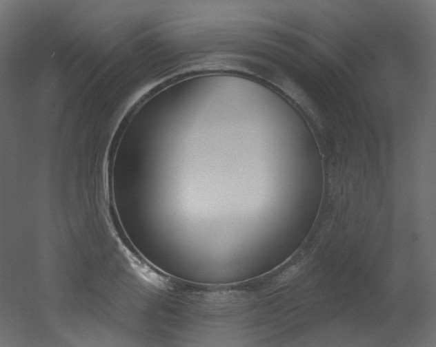 X0000051920988200506241504