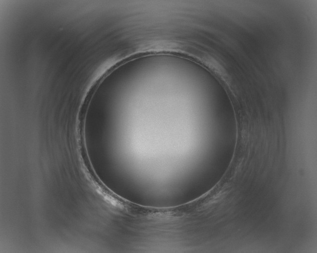 X0000051920990200506241504