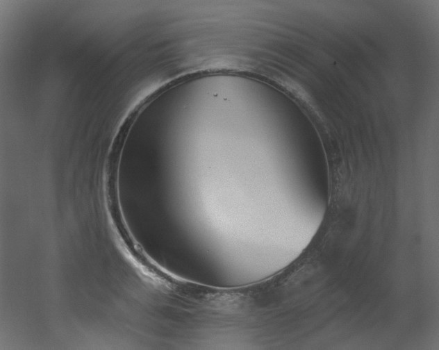 X0000051920991200506241504