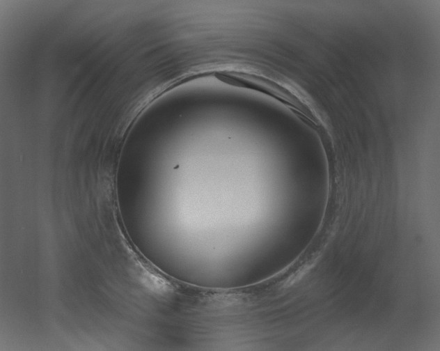 X0000051920993200506241504