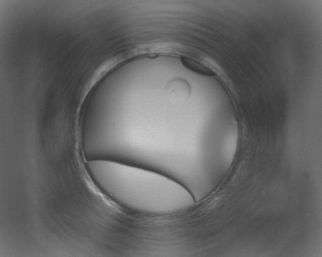 X0000051920994200506241504