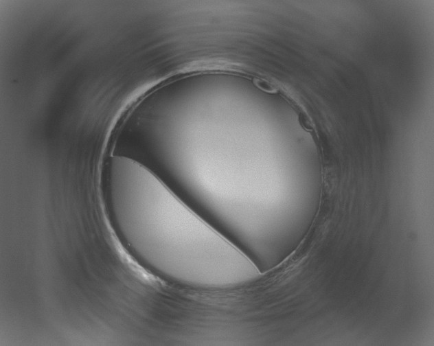 X0000051920995200506241504