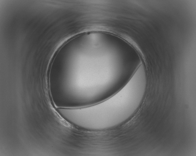 X0000051920996200506241504