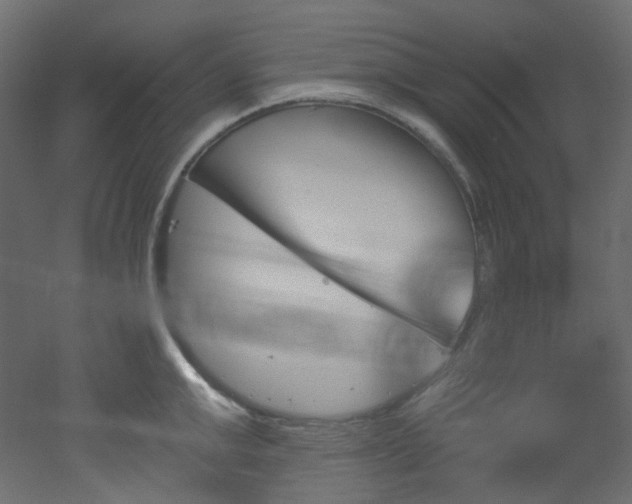 X0000051920999200506241504