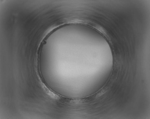X0000051921000200506241504
