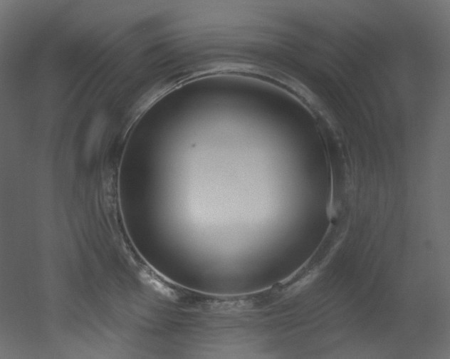 X0000051921001200506241504