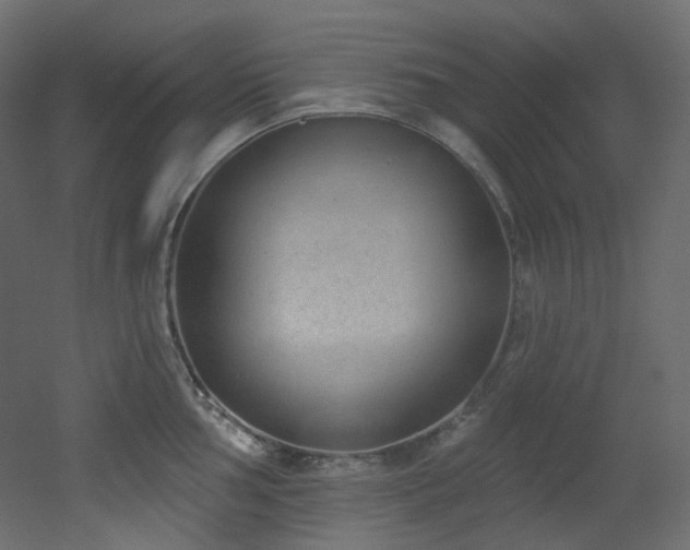 X0000051921002200506241504