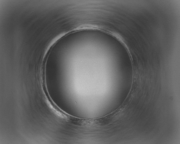 X0000051921003200506241504
