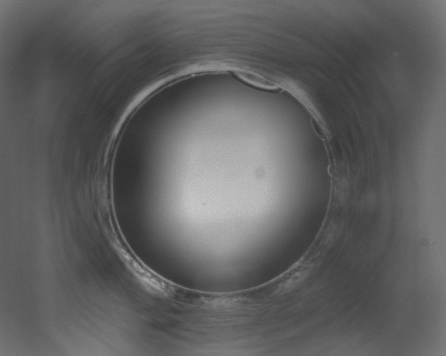 X0000051921004200506241504