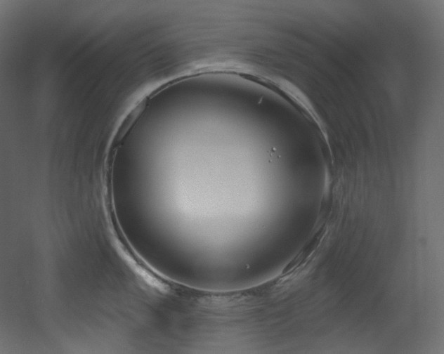 X0000051921005200506241504