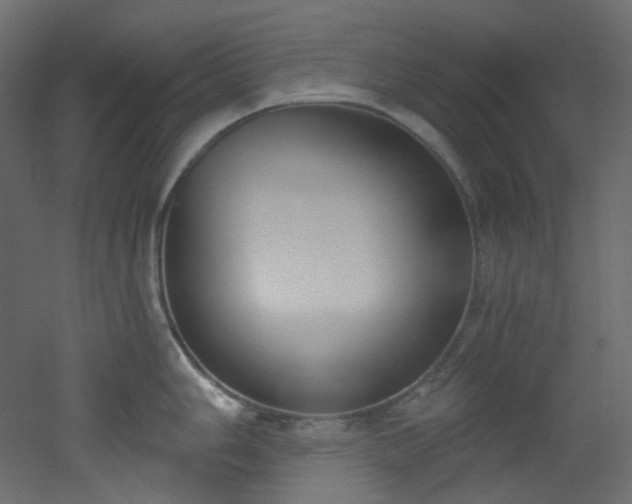 X0000051921006200506241504