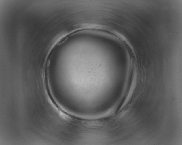 X0000051921007200506241504
