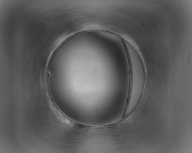 X0000051921008200506241504