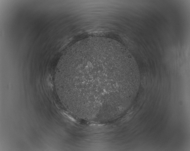 X0000051921010200506241503