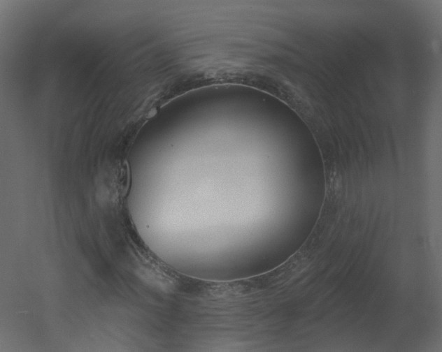 X0000051921012200506241503