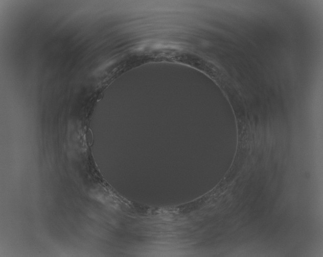 X0000051921013200506241503