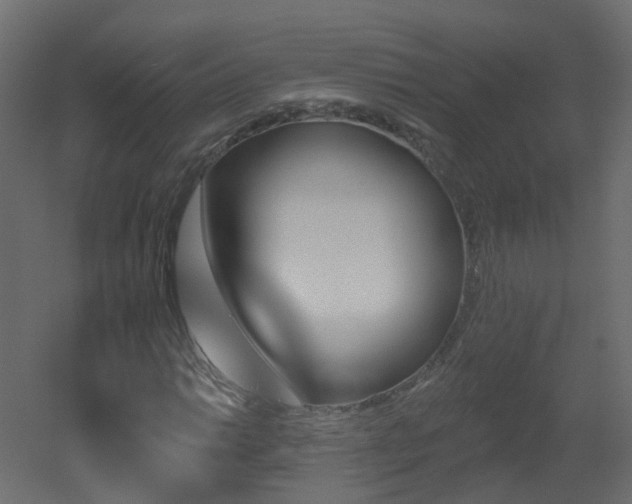 X0000051921014200506241503