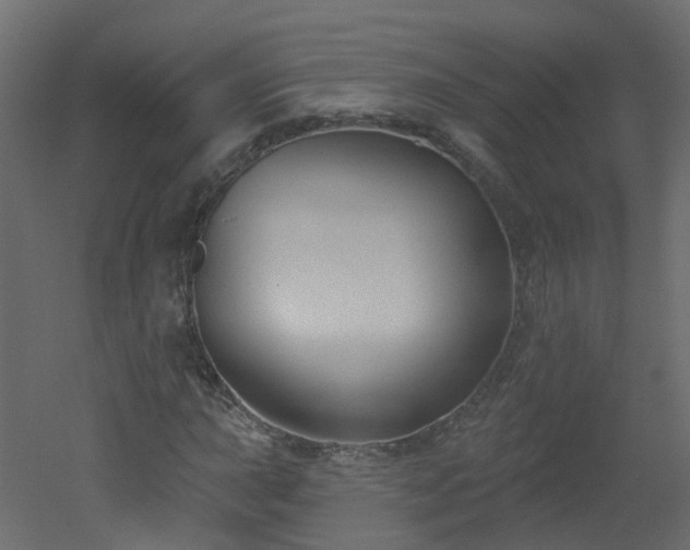 X0000051921015200506241503