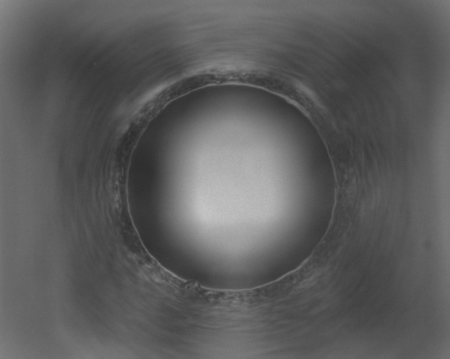 X0000051921016200506241503