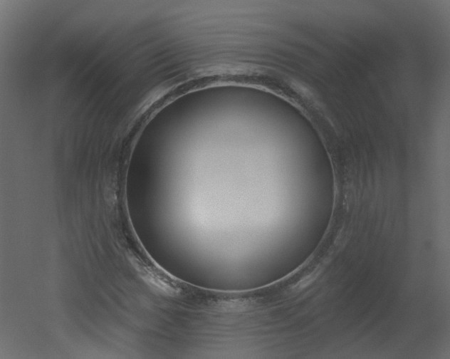 X0000051921017200506241503