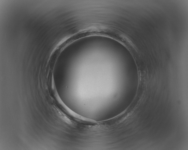 X0000051921018200506241503