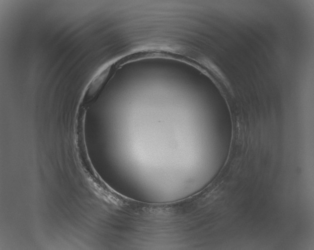 X0000051921020200506241503