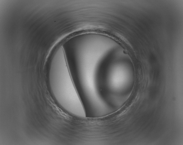 X0000051921021200506241503