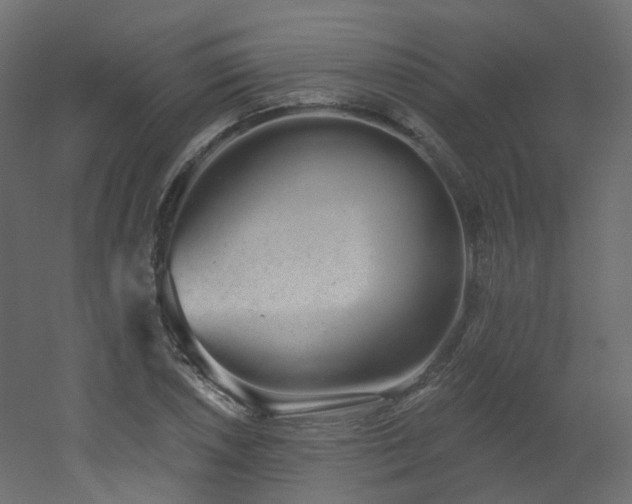 X0000051921026200506241503