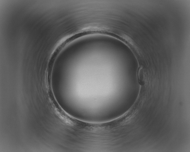 X0000051921030200506241503