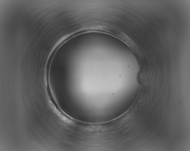 X0000051921036200506241504