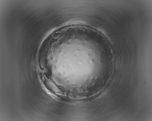 X0000051921038200506241504