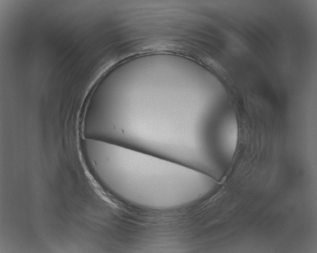 X0000051921039200506241504