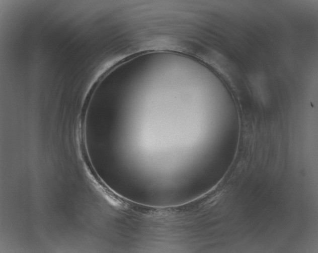 X0000051921040200506241504