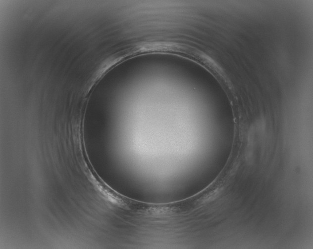 X0000051921041200506241504