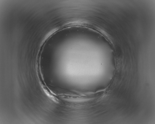 X0000051921042200506241504