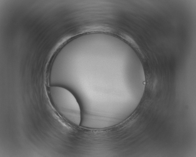 X0000051921043200506241504